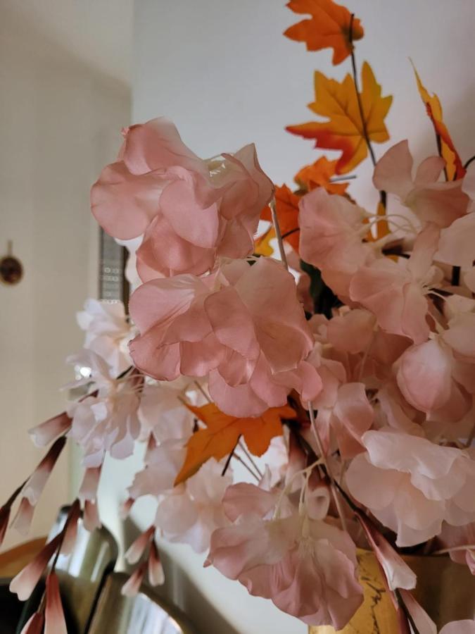 טורי La Maison De Rose מראה חיצוני תמונה